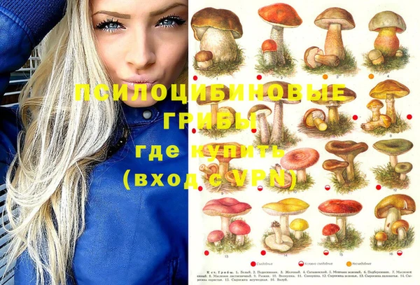 PSILOCYBIN Орехово-Зуево