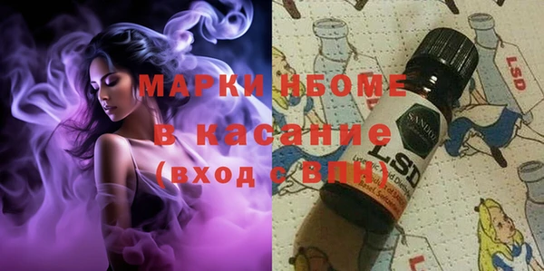 амф Ладушкин