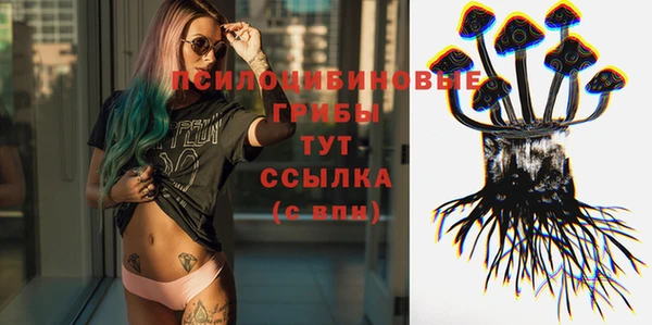дмт Липки
