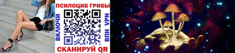 Псилоцибиновые грибы прущие грибы  купить  сайты  Среднеколымск 